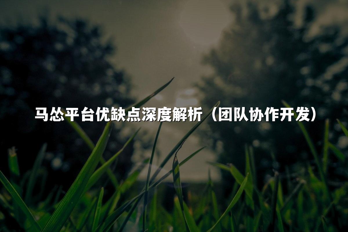马怂平台优缺点深度解析（团队协作开发）