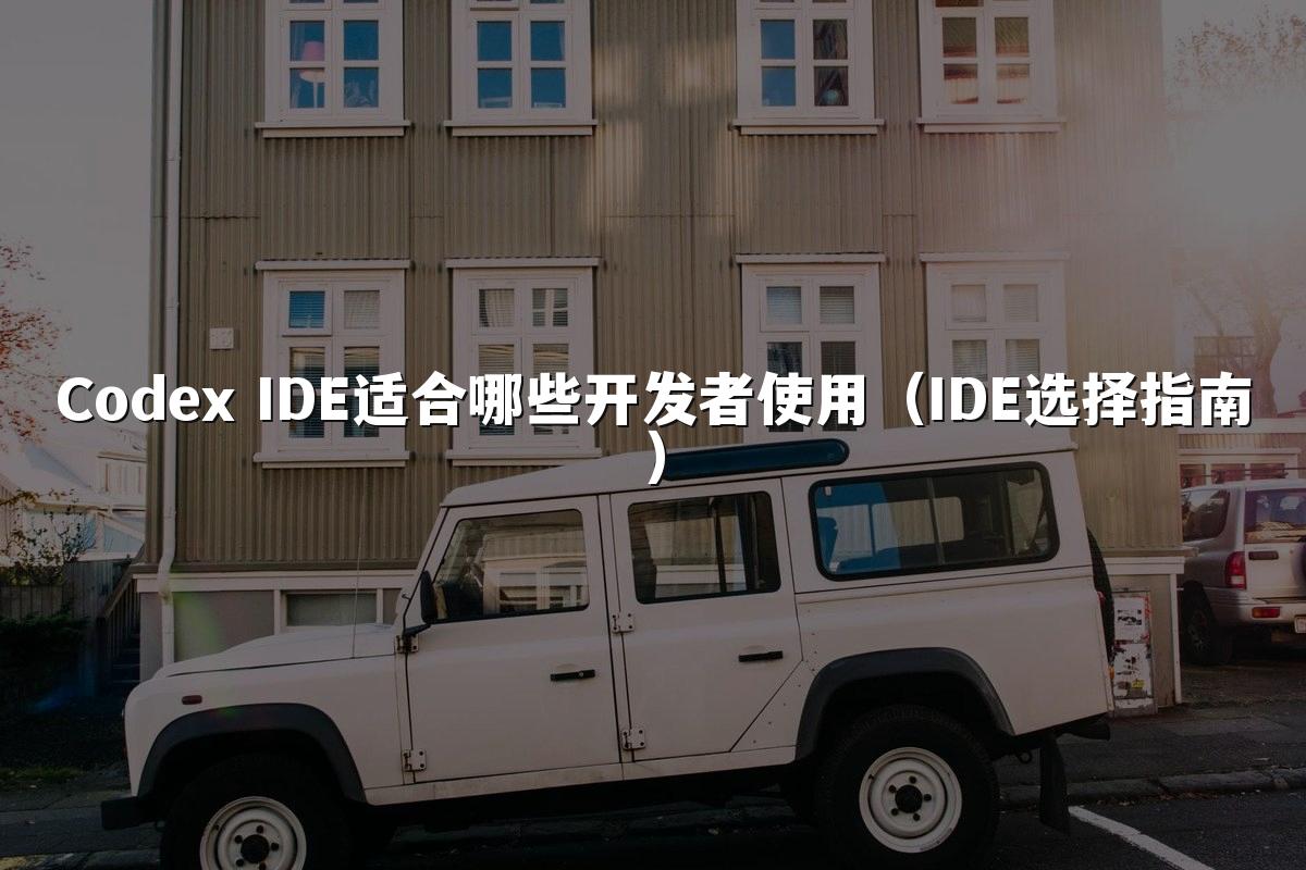 Codex IDE适合哪些开发者使用(IDE选择指南)