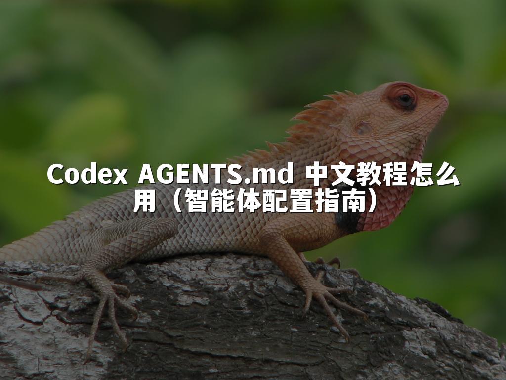 Codex AGENTS.md 中文教程怎么用（智能体配置指南）