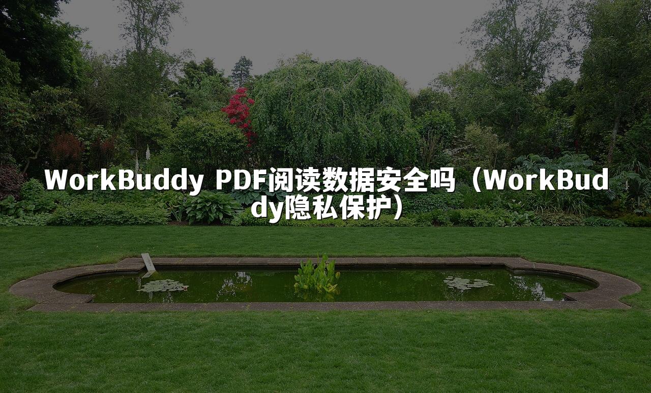 WorkBuddy PDF阅读数据安全吗（WorkBuddy隐私保护）