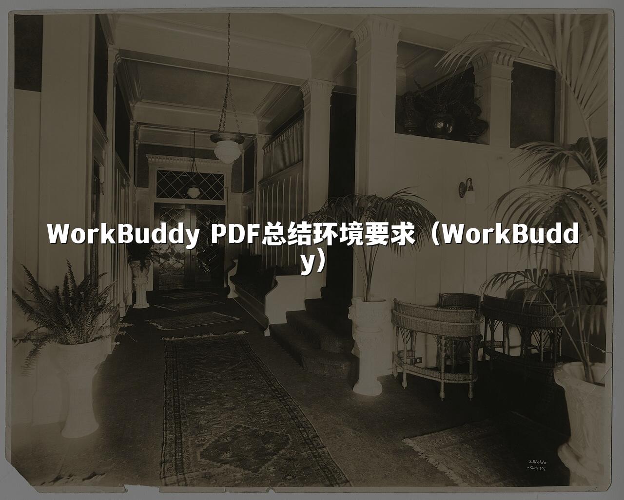 WorkBuddy PDF总结环境要求(WorkBuddy)