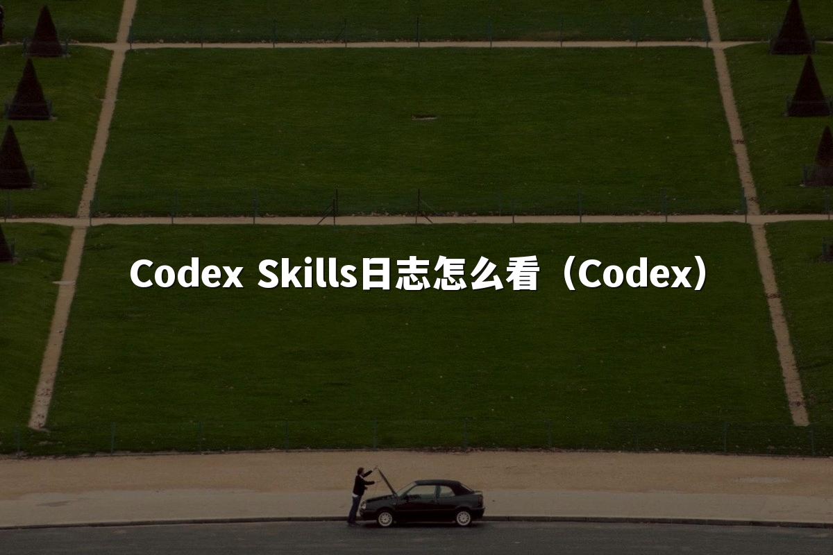 Codex Skills日志怎么看（Codex）