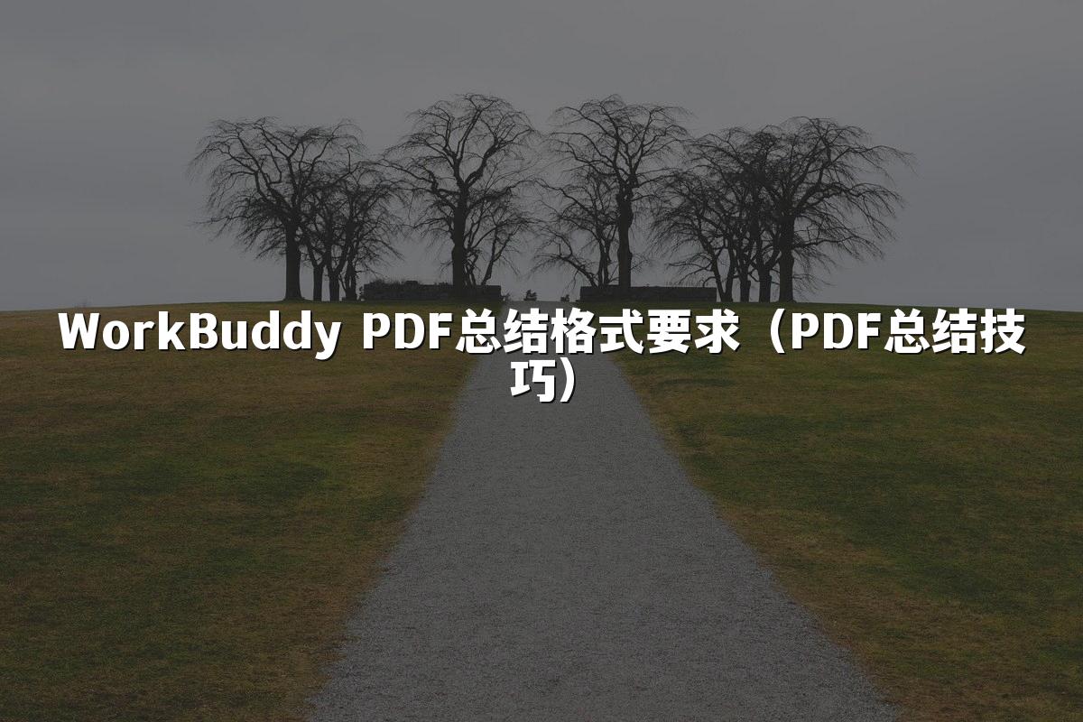WorkBuddy PDF总结格式要求(PDF总结技巧)