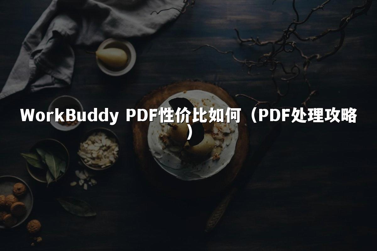 WorkBuddy PDF性价比如何(PDF处理攻略)