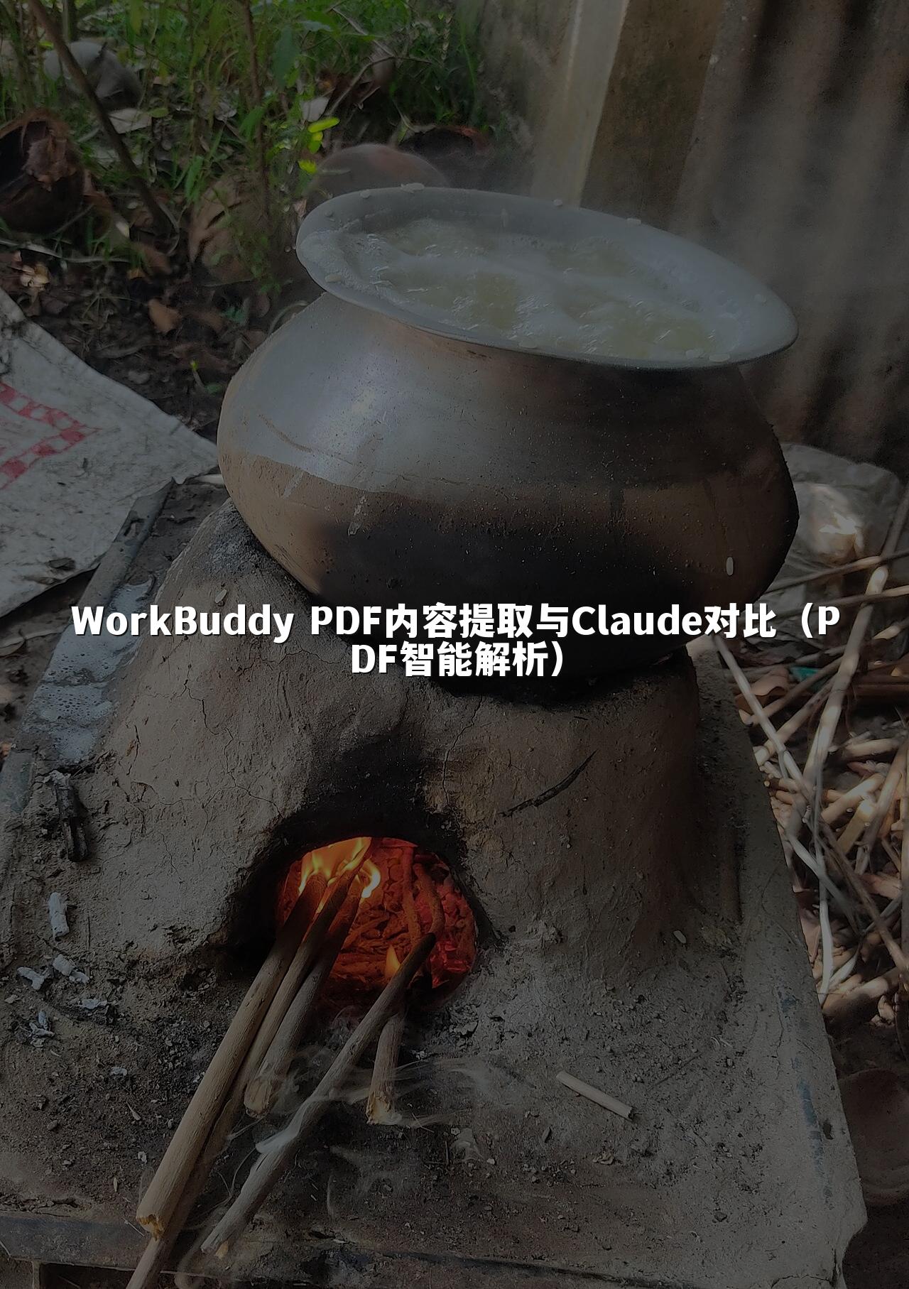 WorkBuddy PDF内容提取与Claude对比（PDF智能解析）