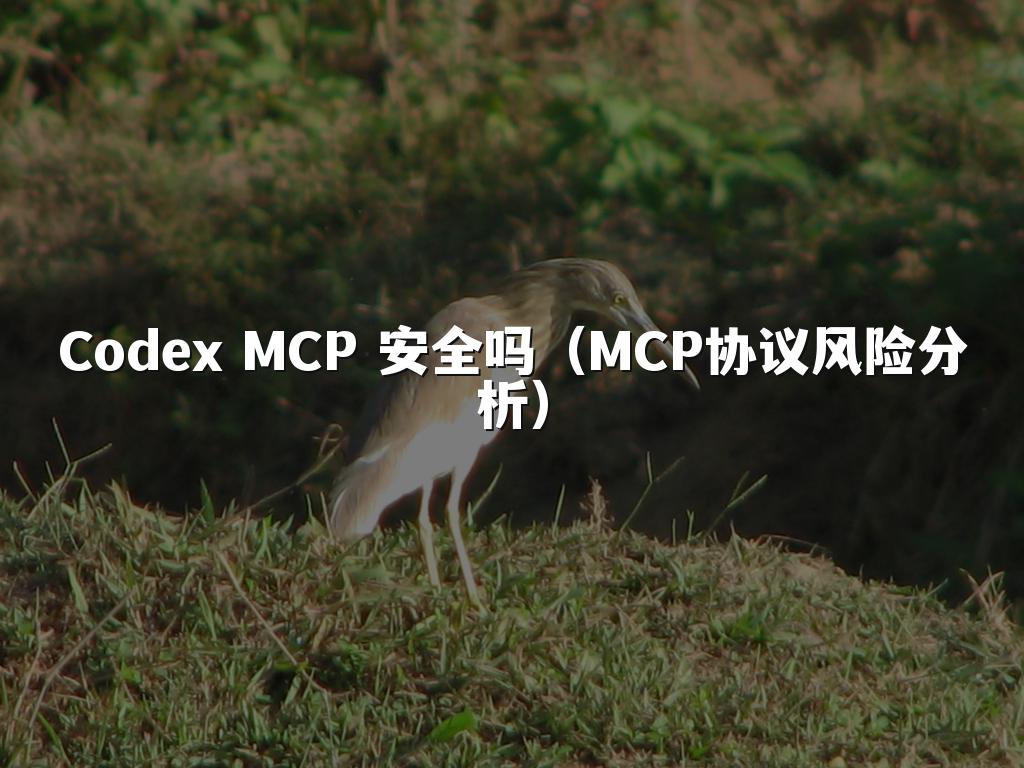 Codex MCP 安全吗（MCP协议风险分析）