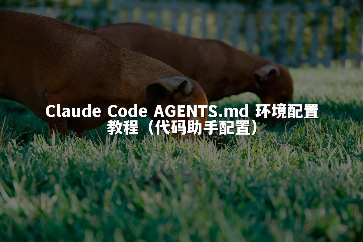 Claude Code AGENTS.md 环境配置教程（代码助手配置）