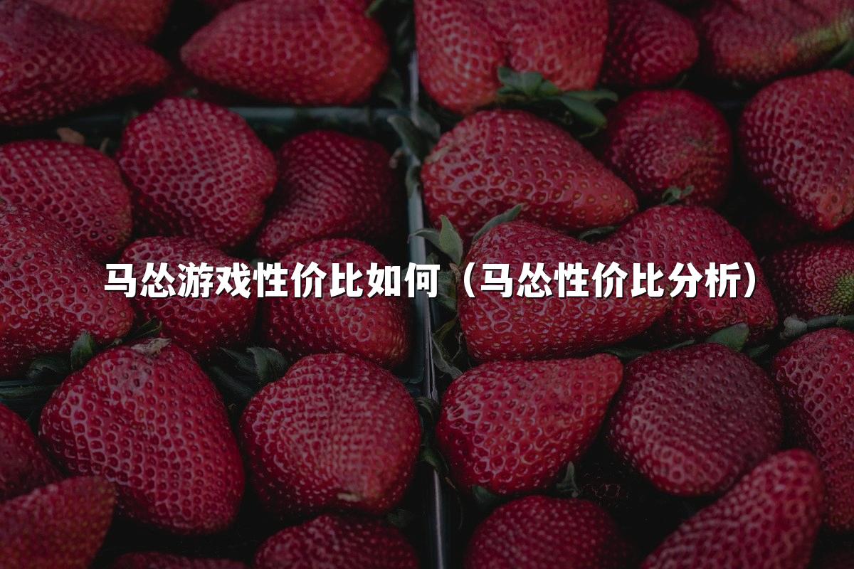 马怂游戏性价比如何(马怂性价比分析)