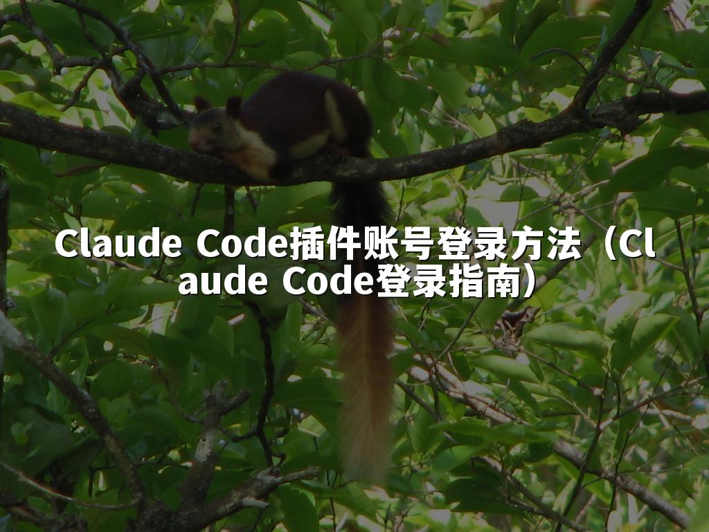 Claude Code插件账号登录方法(Claude Code登录指南)