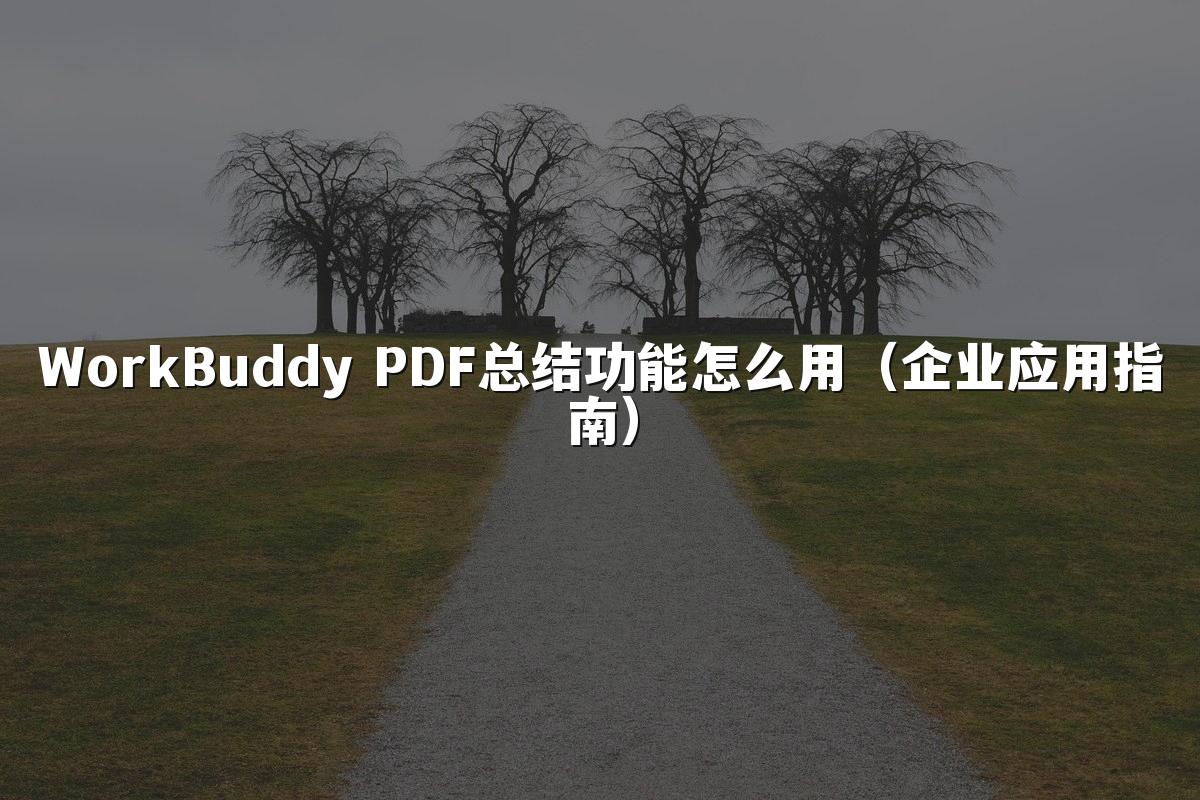 WorkBuddy PDF总结功能怎么用(企业应用指南)