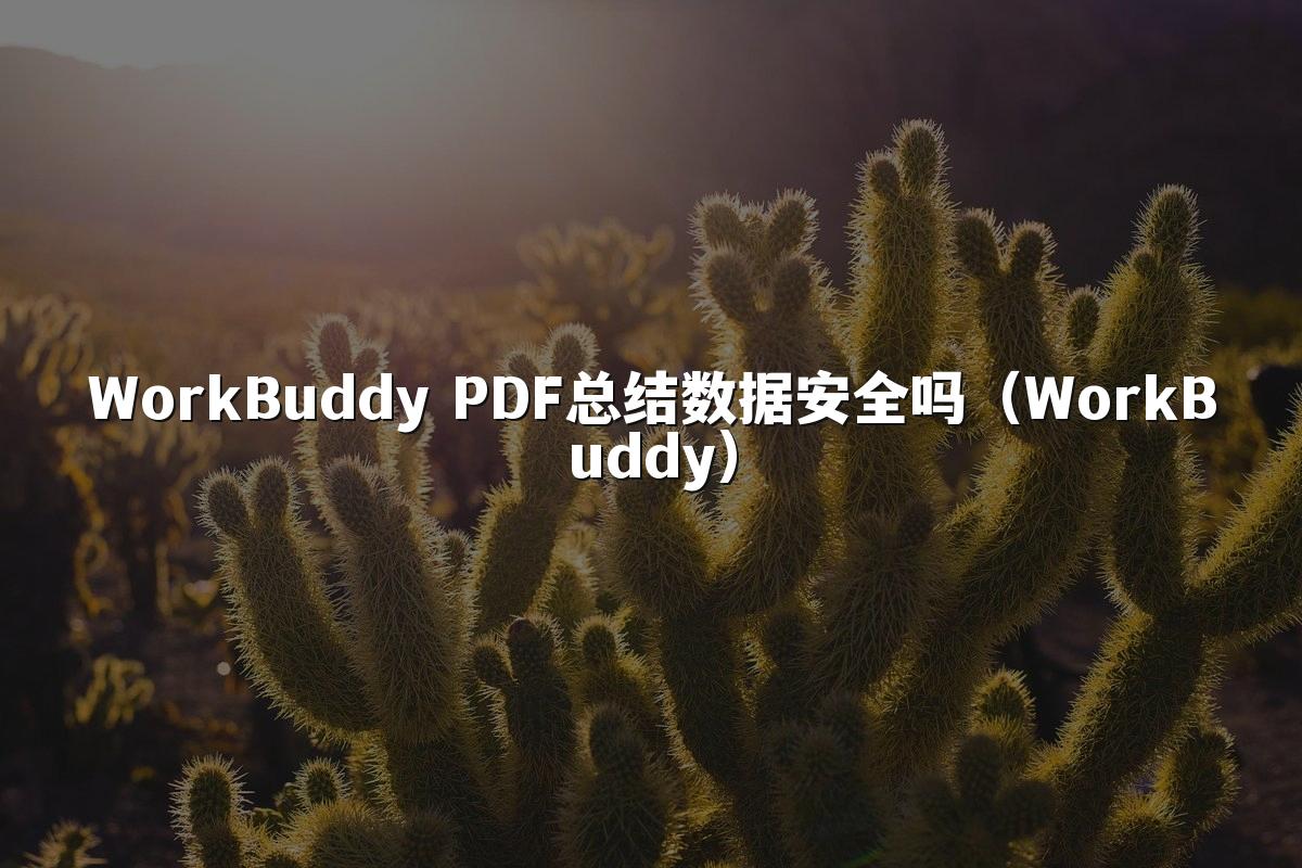 WorkBuddy PDF总结数据安全吗(WorkBuddy)