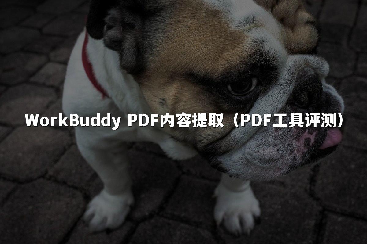 WorkBuddy PDF内容提取(PDF工具评测)