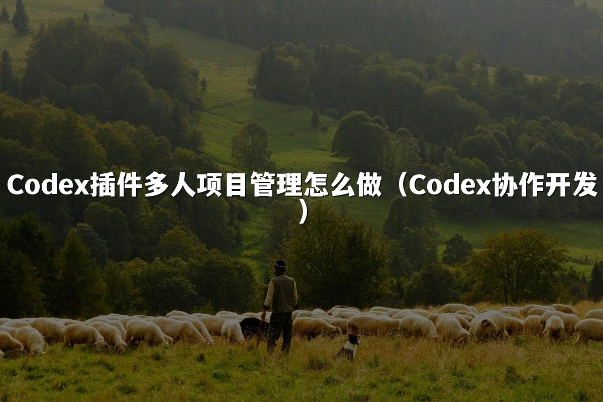 Codex插件多人项目管理怎么做（Codex协作开发）