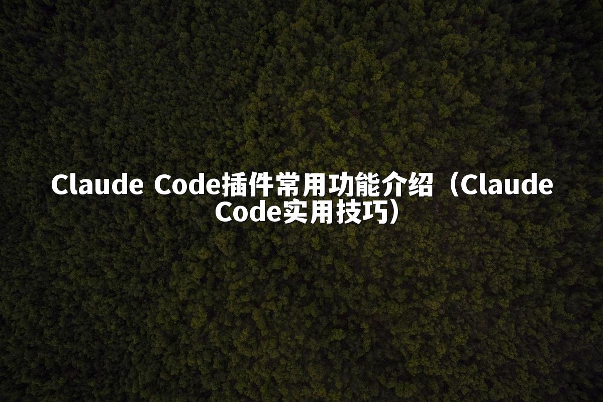 Claude Code插件常用功能介绍（Claude Code实用技巧）