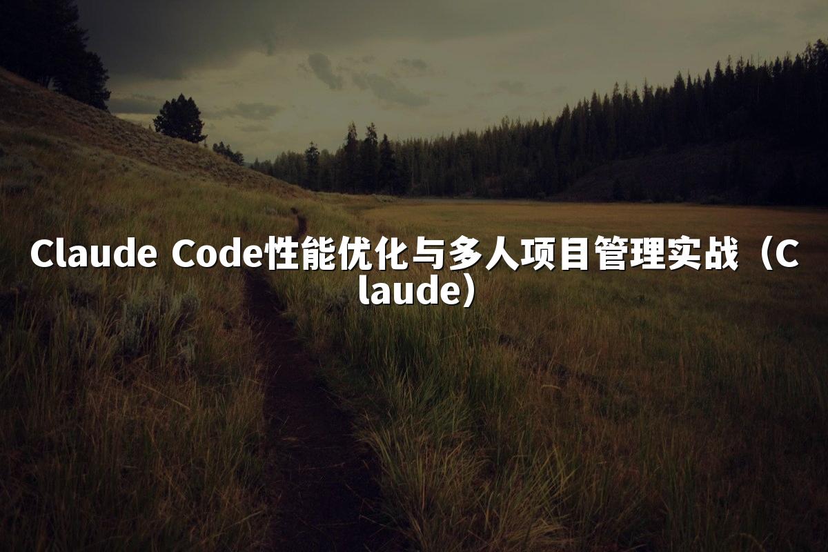Claude Code性能优化与多人项目管理实战（Claude）