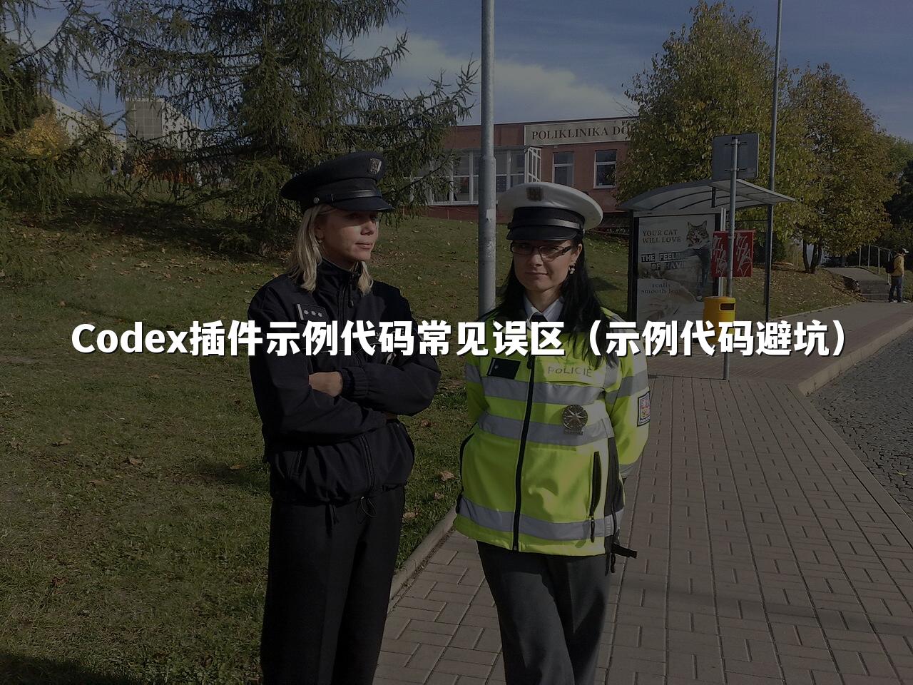 Codex插件示例代码常见误区(示例代码避坑)