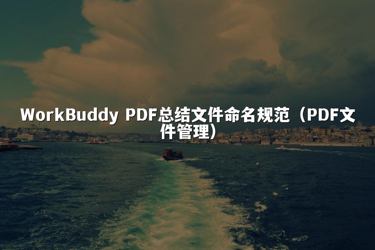 WorkBuddy PDF总结文件命名规范(PDF文件管理)