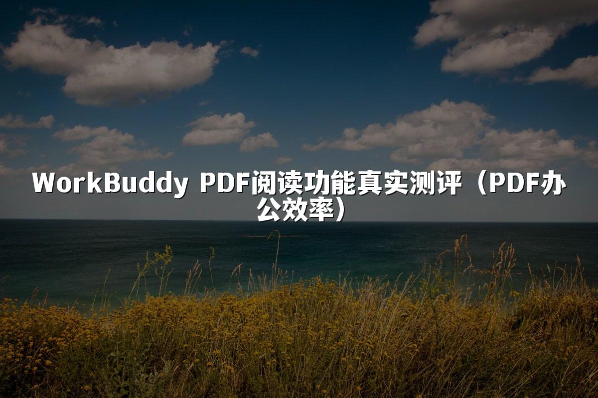 WorkBuddy PDF阅读功能真实测评（PDF办公效率）