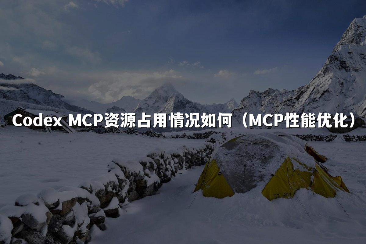 Codex MCP资源占用情况如何（MCP性能优化）