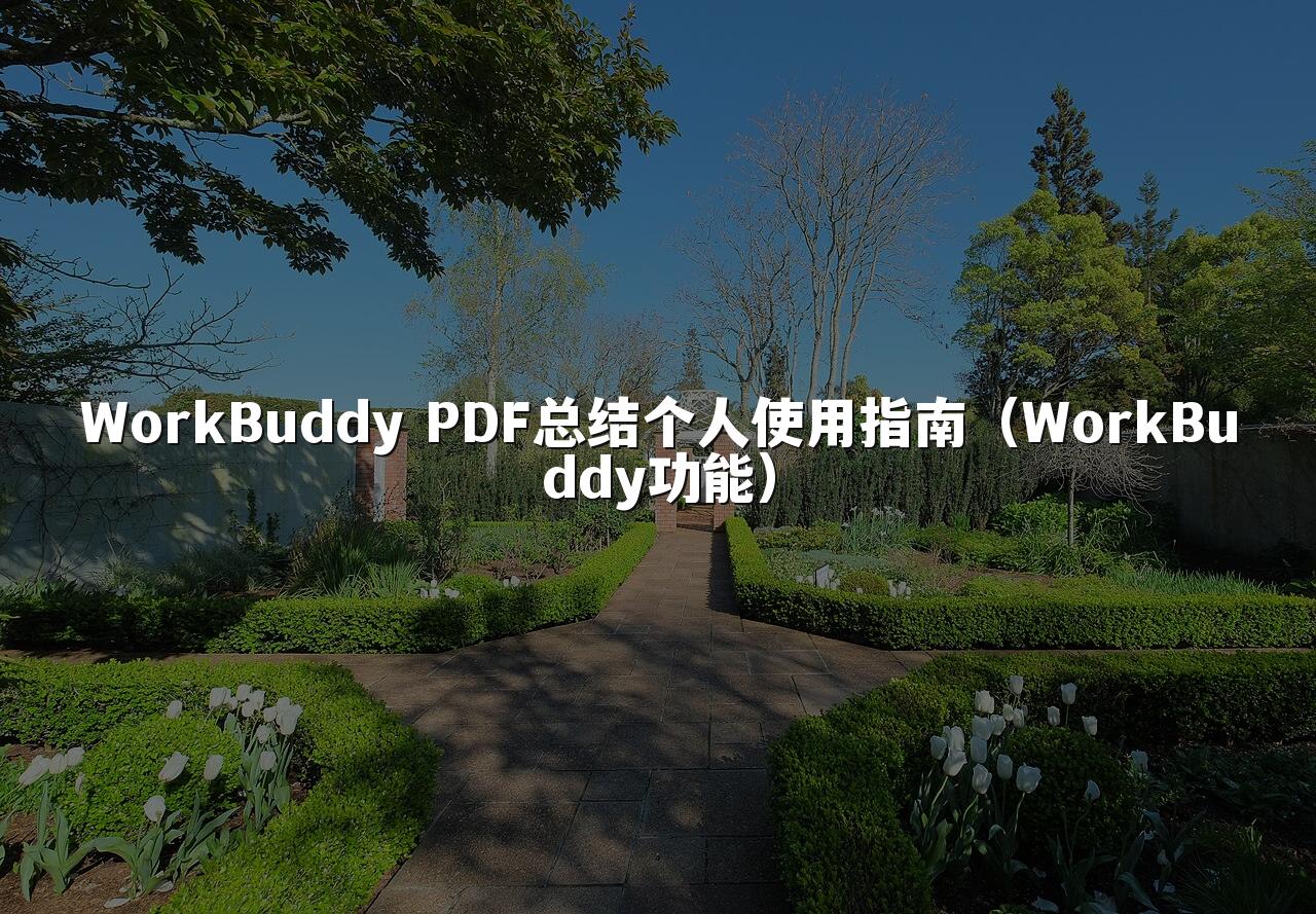 WorkBuddy PDF总结个人使用指南(WorkBuddy功能)