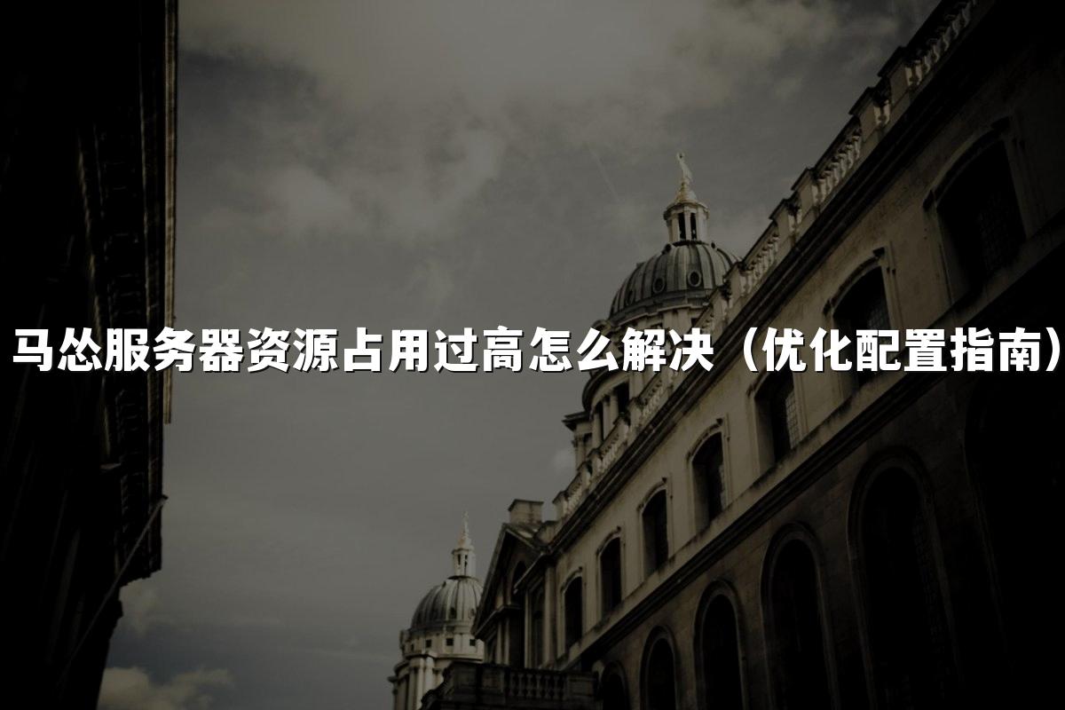 马怂服务器资源占用过高怎么解决（优化配置指南）