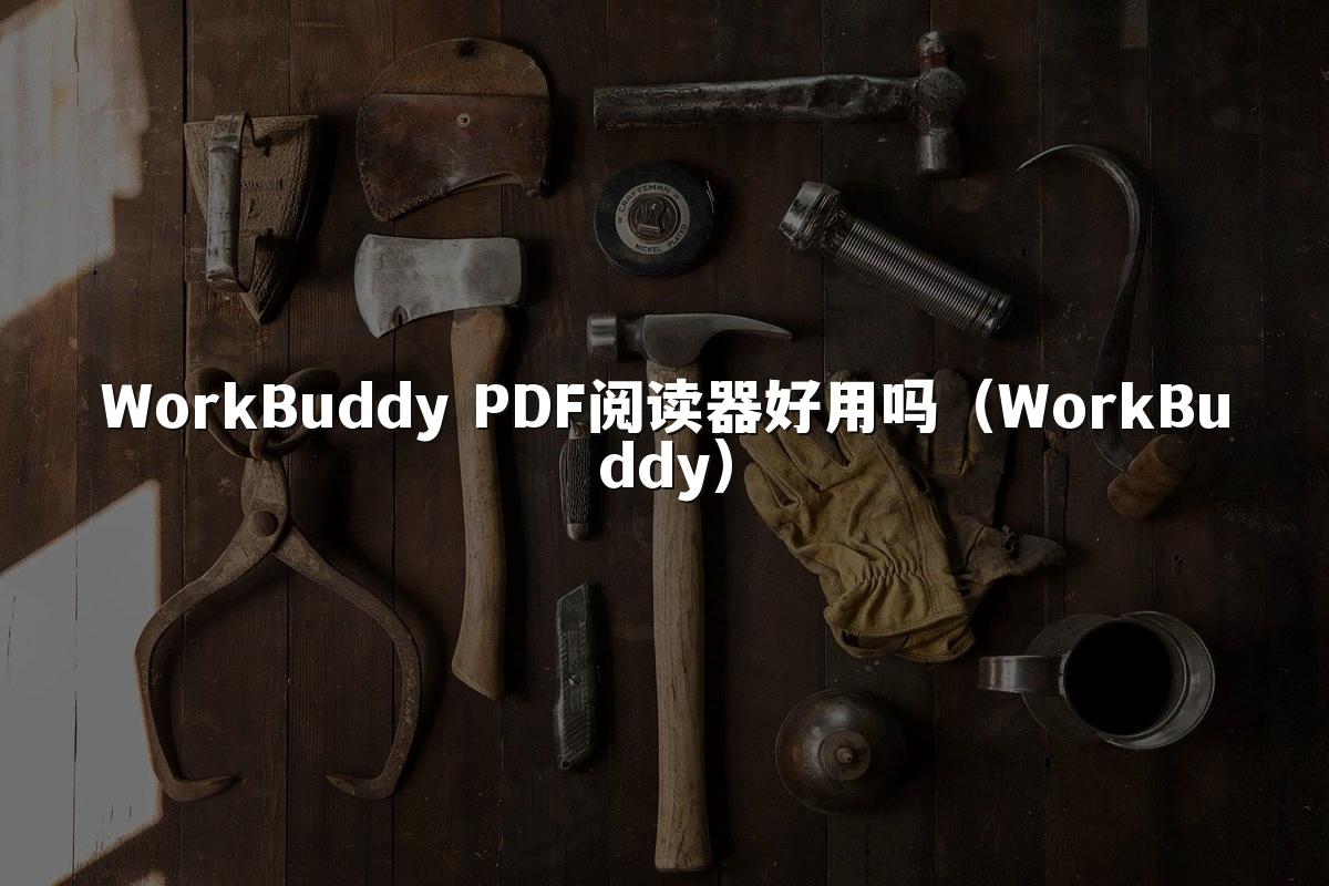 WorkBuddy PDF阅读器好用吗(WorkBuddy)
