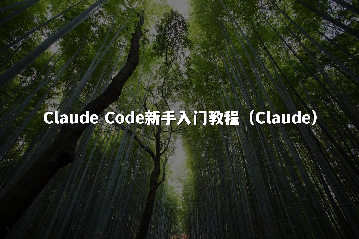 Claude Code新手入门教程（Claude）