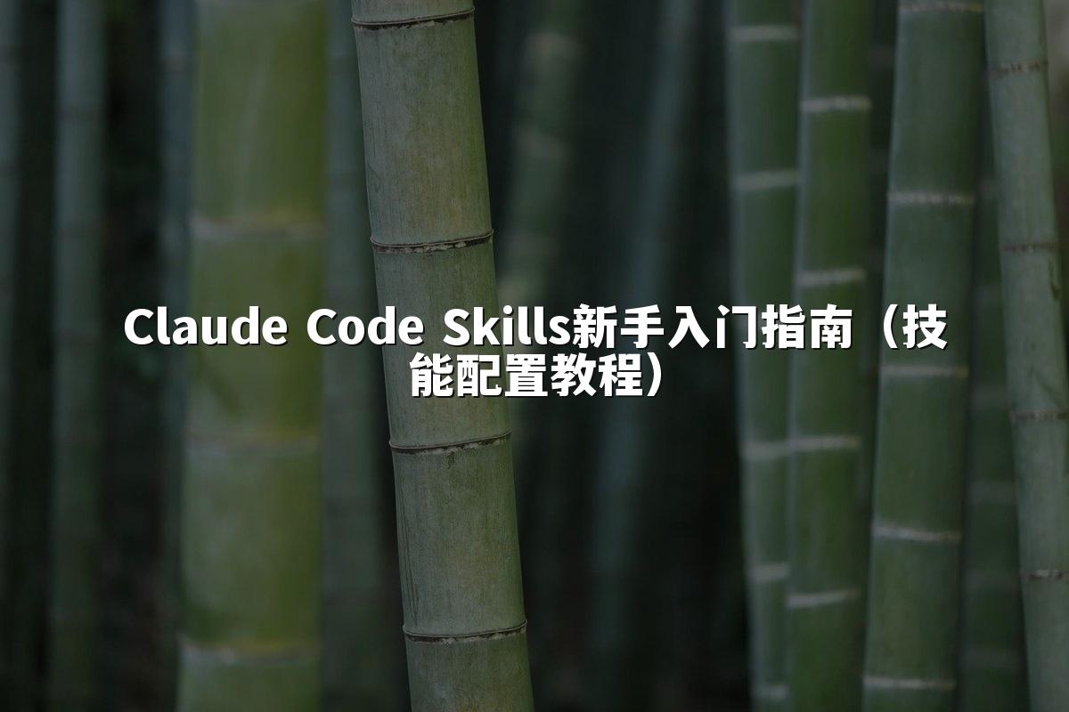 Claude Code Skills新手入门指南(技能配置教程)
