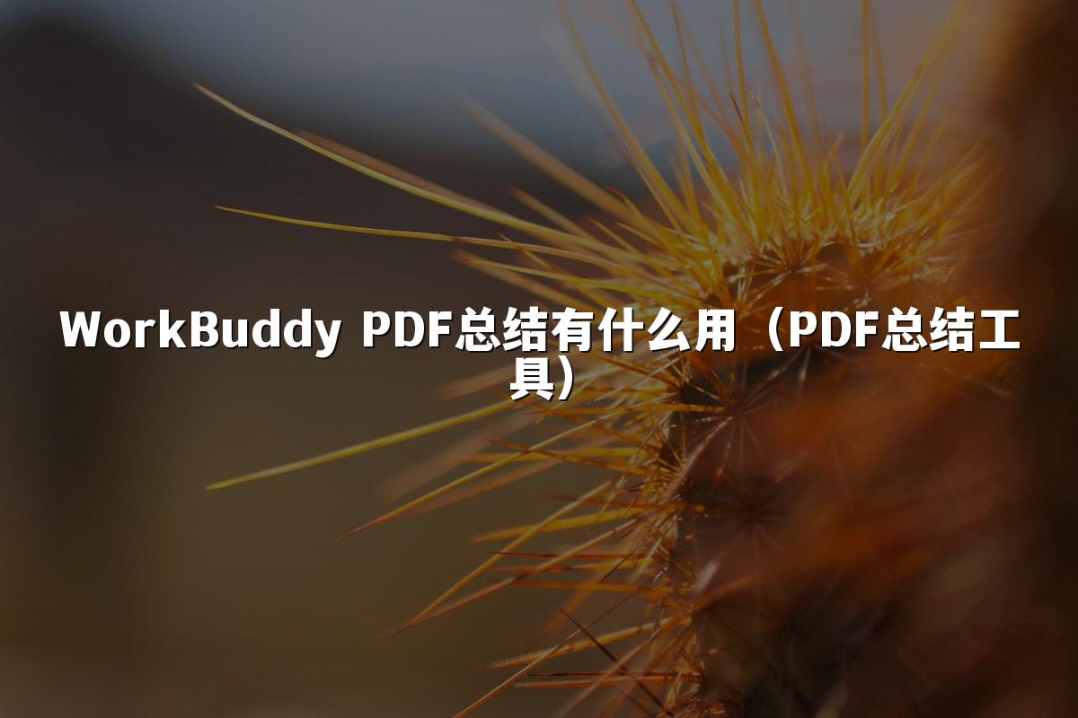 WorkBuddy PDF总结有什么用(PDF总结工具)