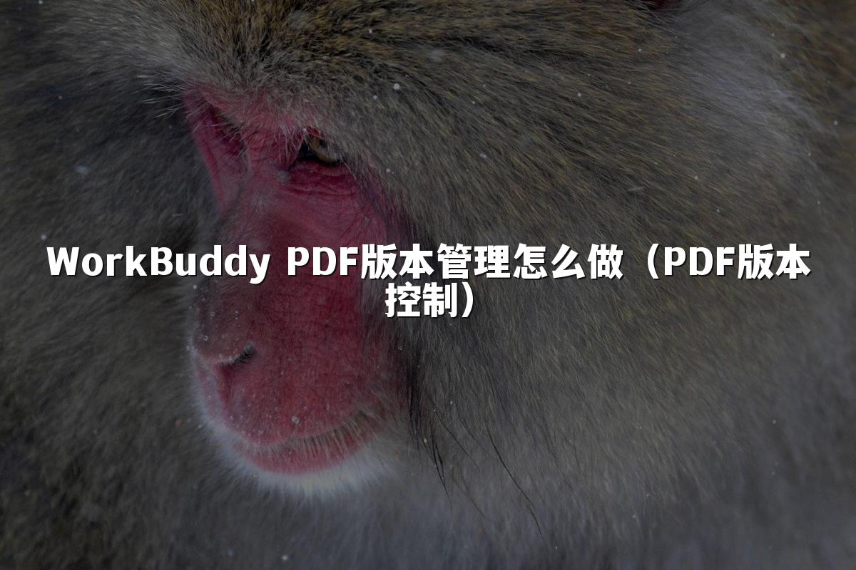 WorkBuddy PDF版本管理怎么做(PDF版本控制)