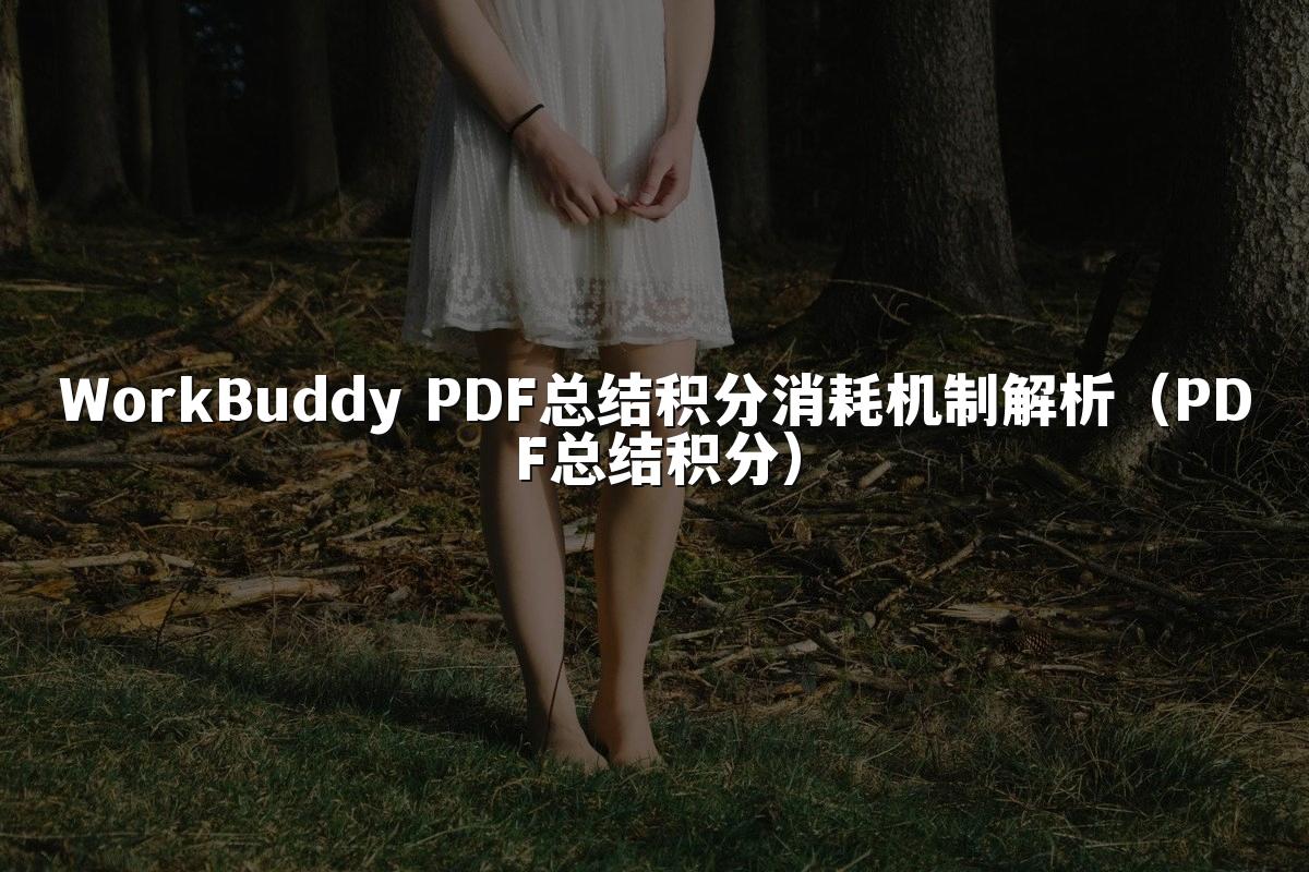 WorkBuddy PDF总结积分消耗机制解析(PDF总结积分)