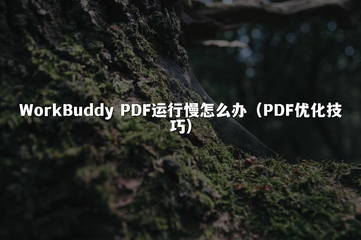 WorkBuddy PDF运行慢怎么办(PDF优化技巧)