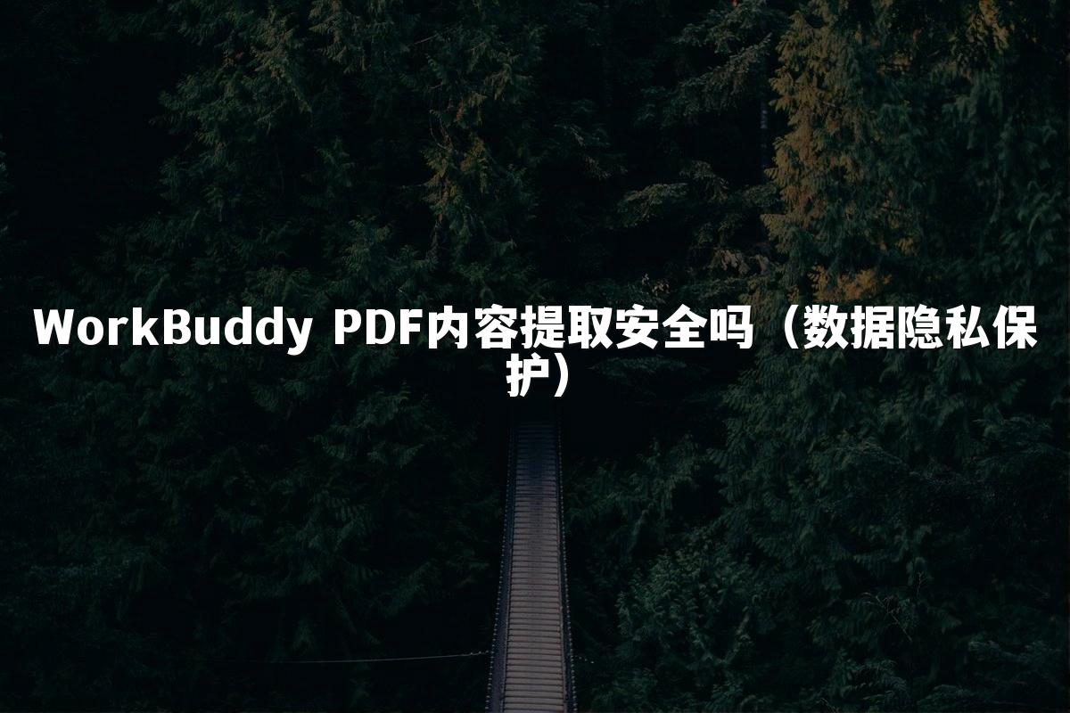 WorkBuddy PDF内容提取安全吗(数据隐私保护)