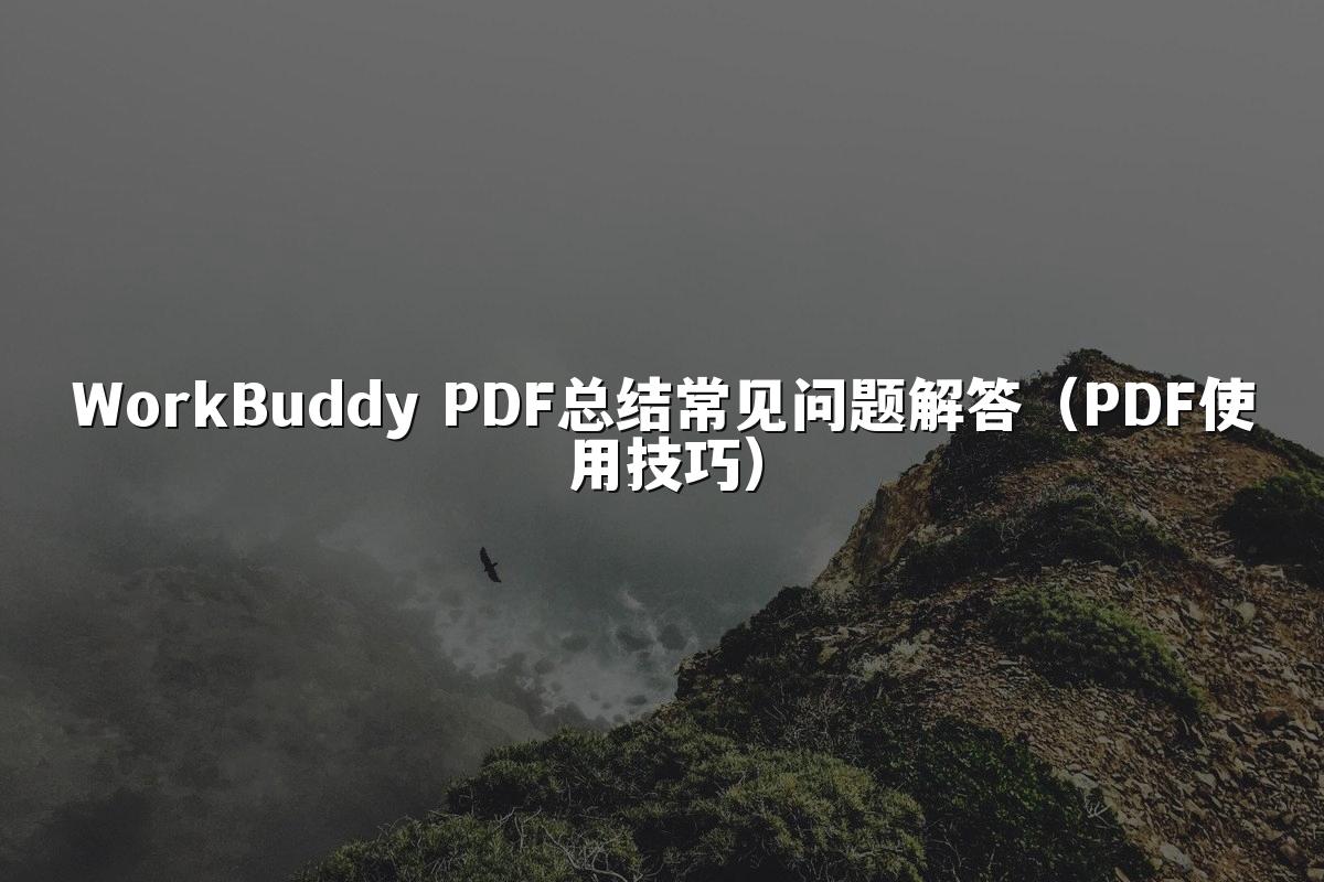 WorkBuddy PDF总结常见问题解答(PDF使用技巧)