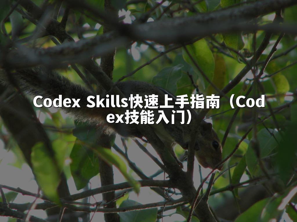 Codex Skills快速上手指南(Codex技能入门)