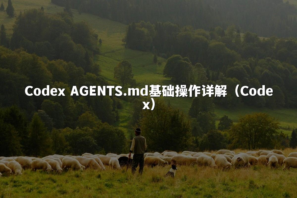 Codex AGENTS.md基础操作详解(Codex)