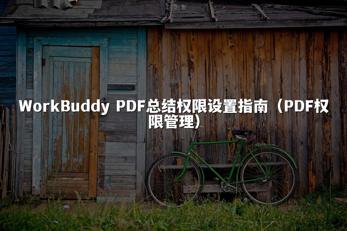 WorkBuddy PDF总结权限设置指南(PDF权限管理)