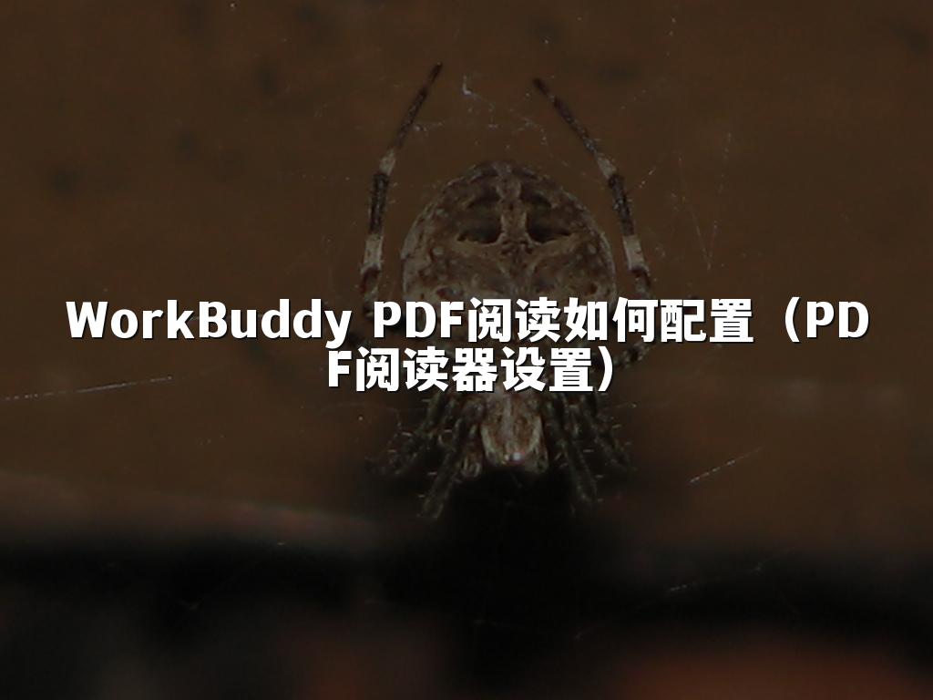 WorkBuddy PDF阅读如何配置（PDF阅读器设置）
