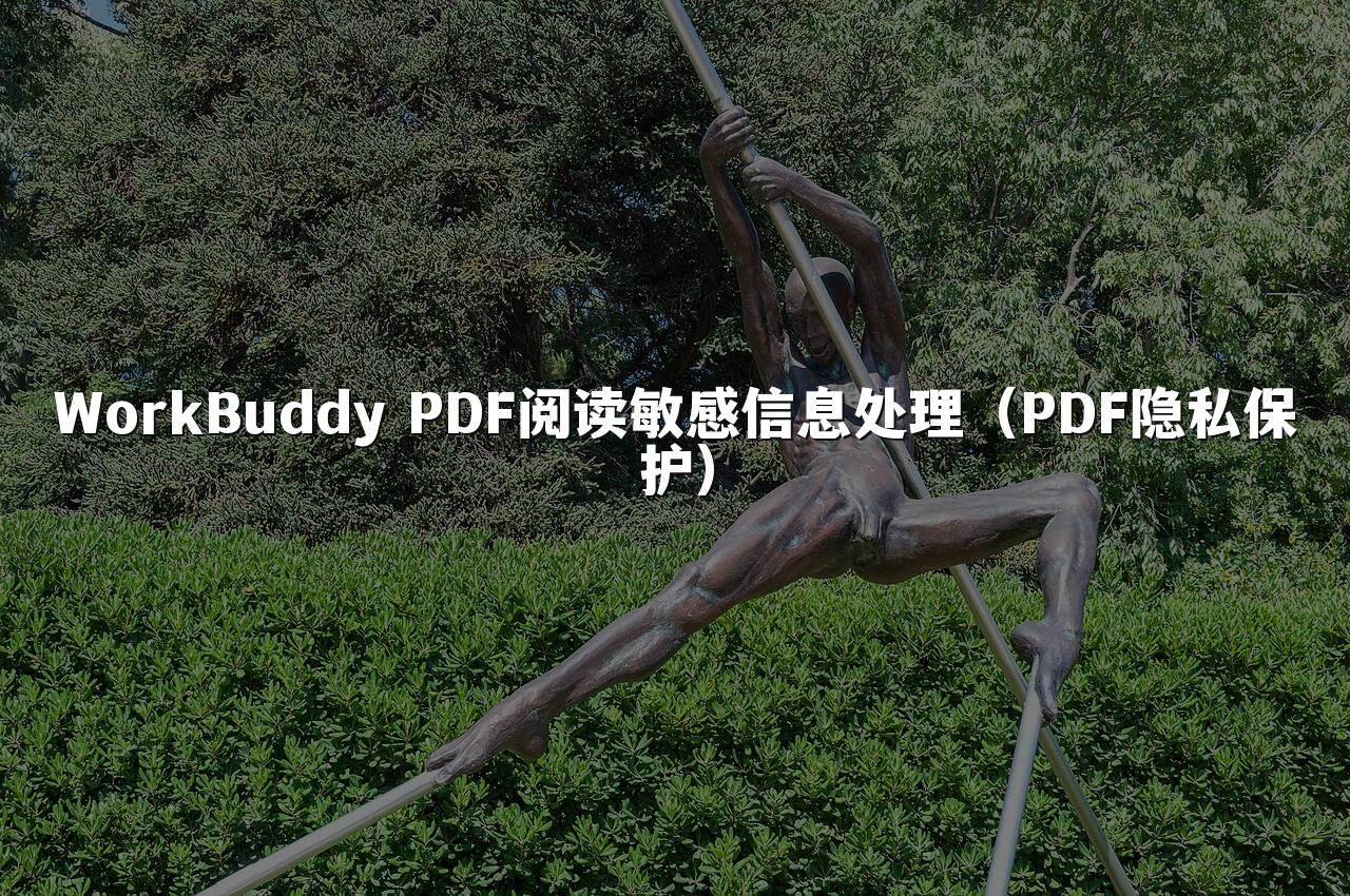 WorkBuddy PDF阅读敏感信息处理（PDF隐私保护）