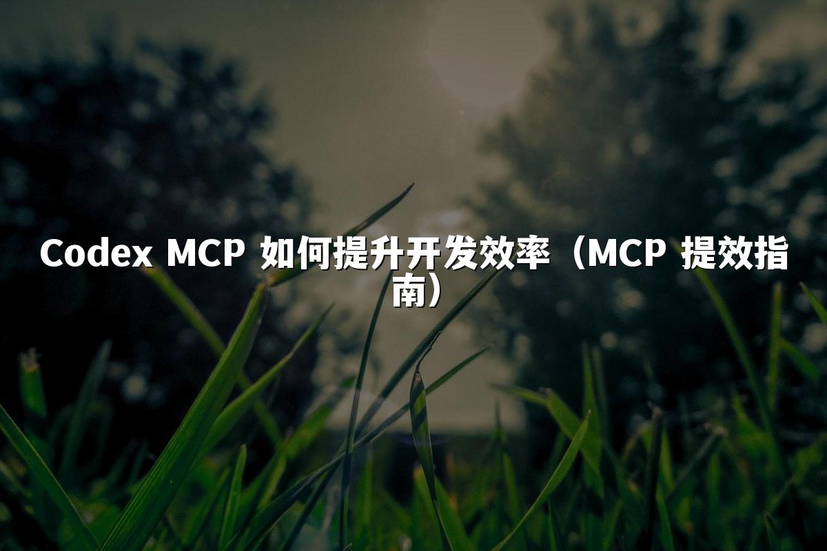 Codex MCP 如何提升开发效率（MCP 提效指南）