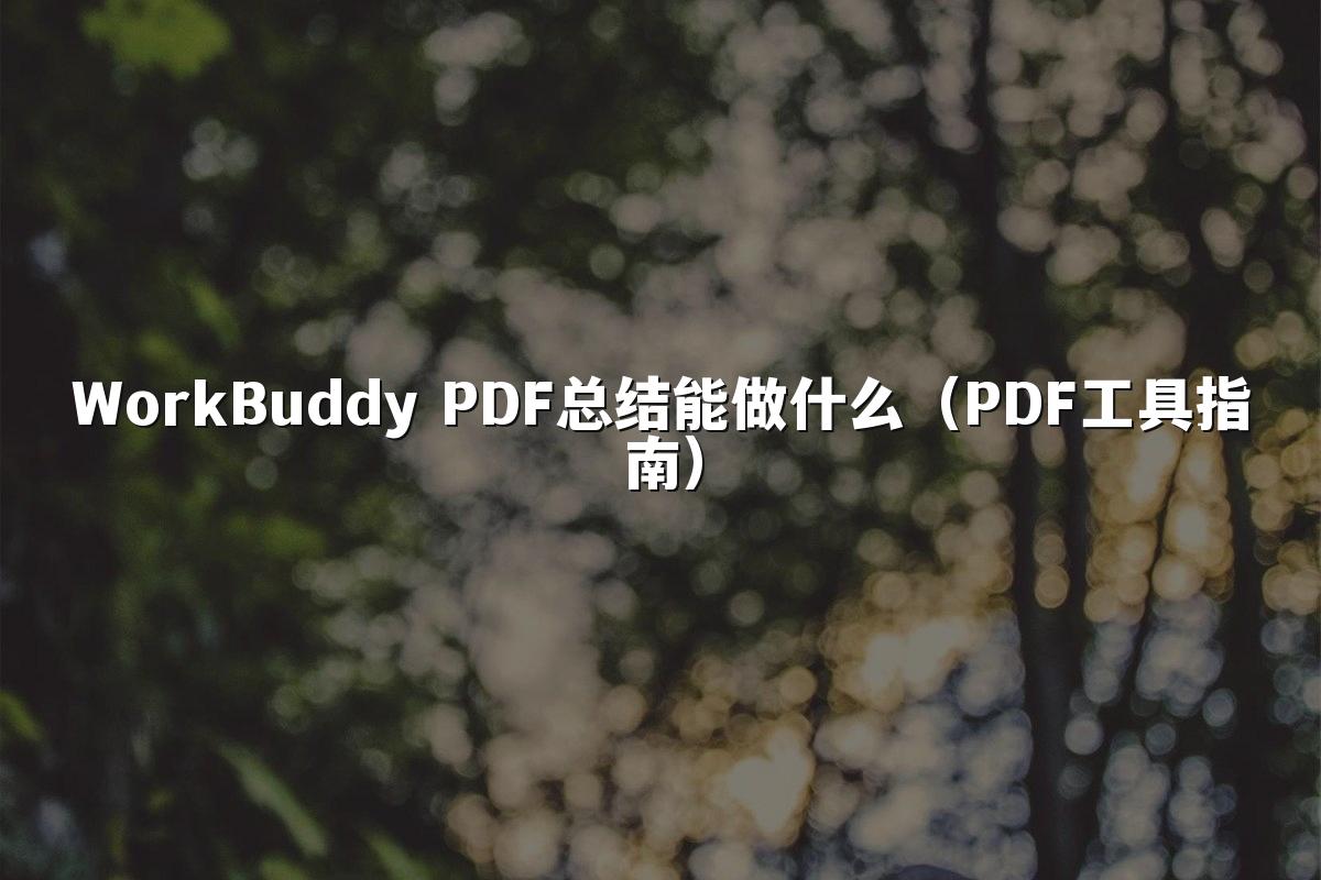 WorkBuddy PDF总结能做什么(PDF工具指南)