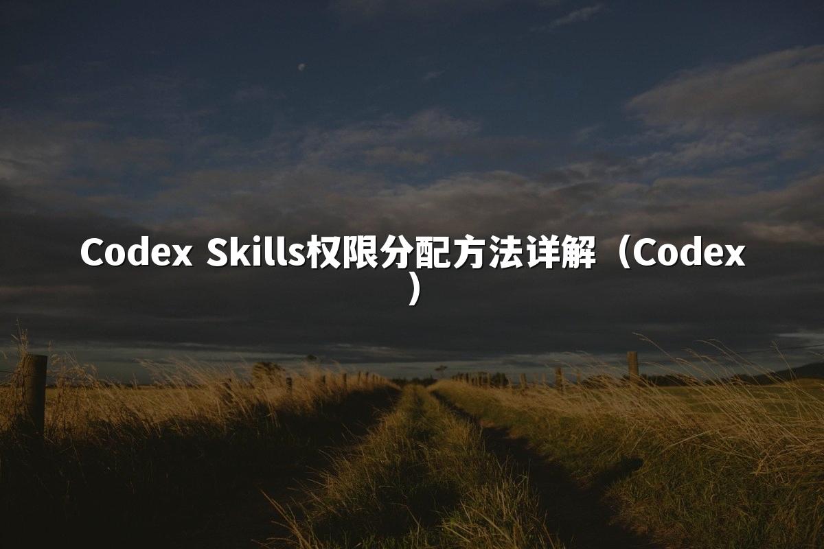 Codex Skills权限分配方法详解（Codex）