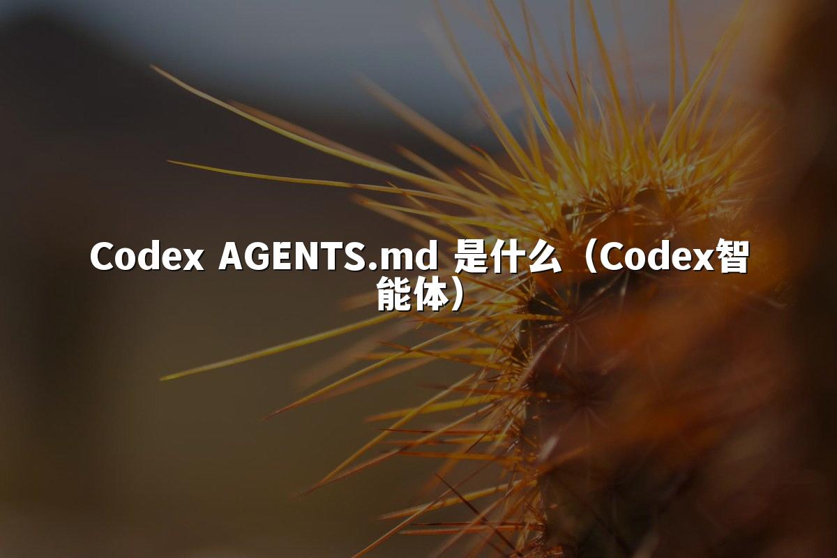 Codex AGENTS.md 是什么(Codex智能体)