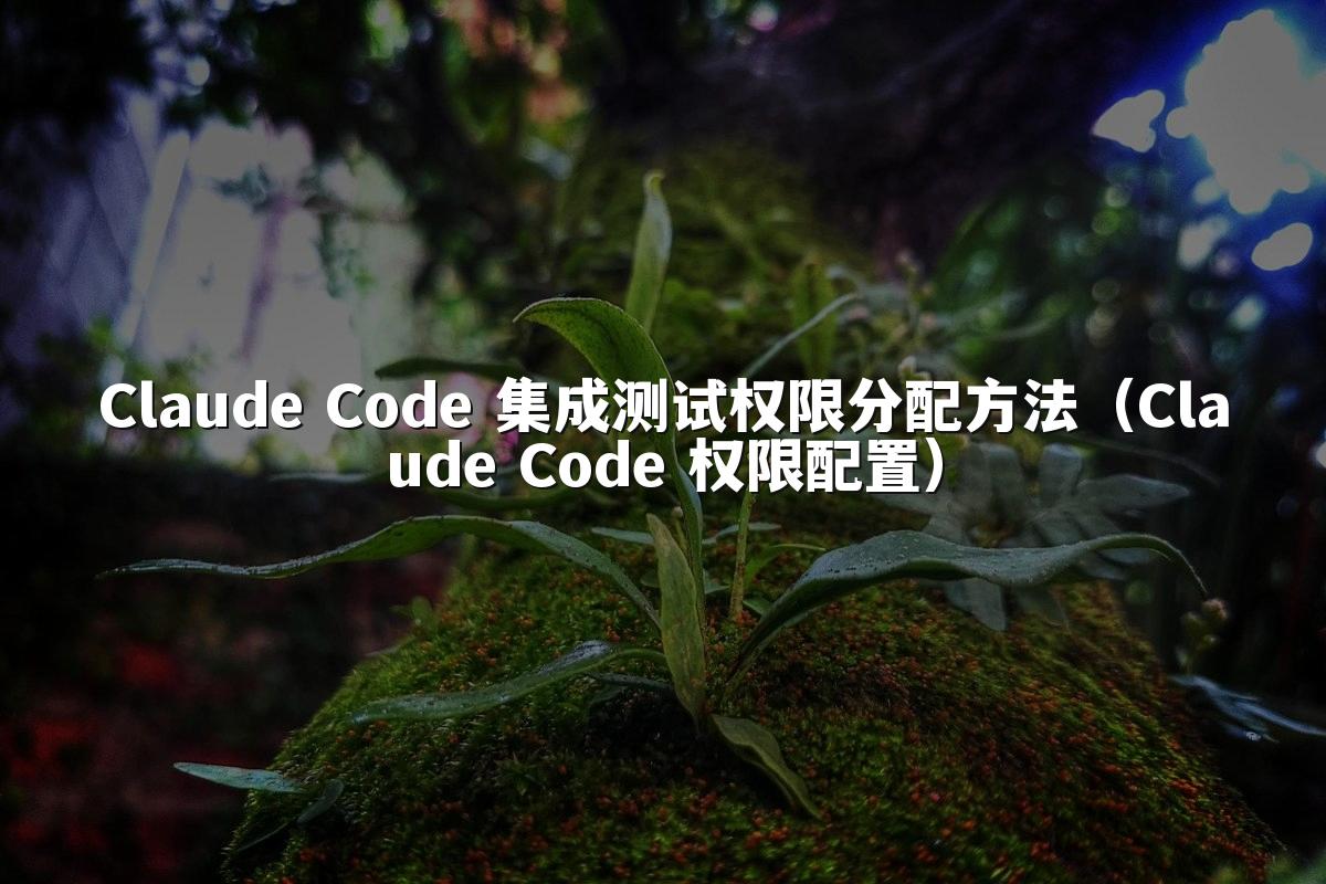 Claude Code 集成测试权限分配方法（Claude Code 权限配置）