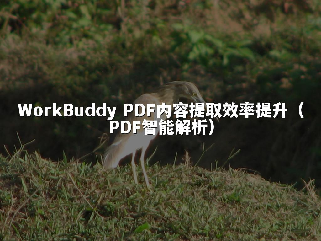 WorkBuddy PDF内容提取效率提升(PDF智能解析)