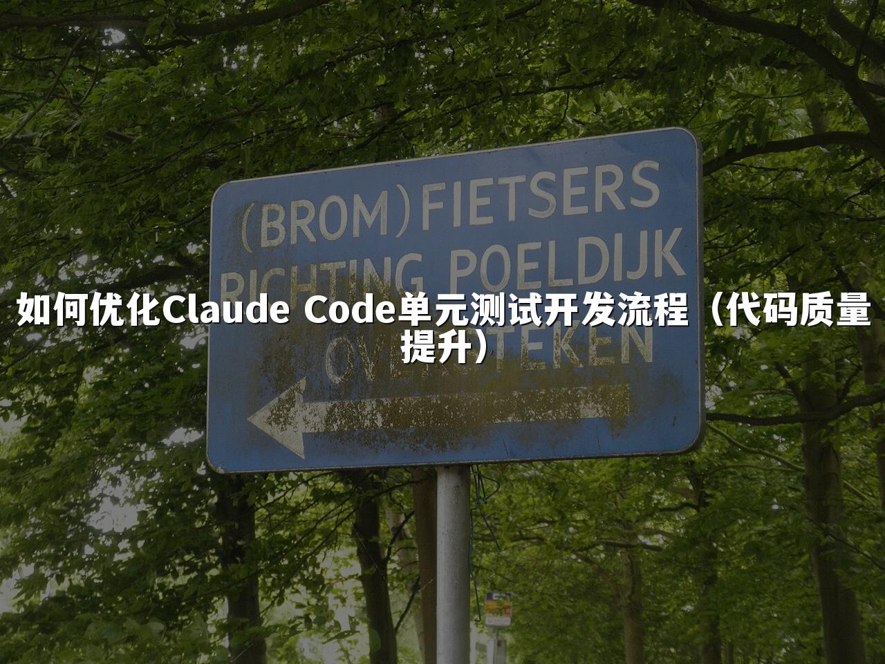 如何优化Claude Code单元测试开发流程（代码质量提升）