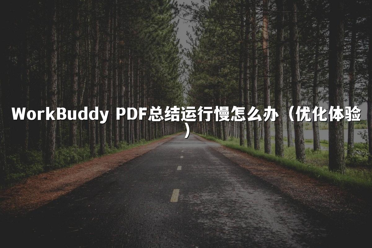 WorkBuddy PDF总结运行慢怎么办（优化体验）