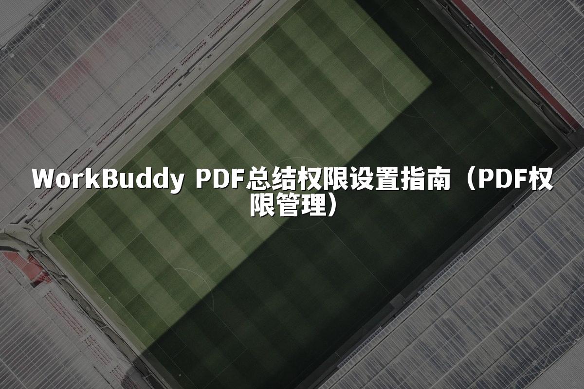 WorkBuddy PDF总结权限设置指南(PDF权限管理)