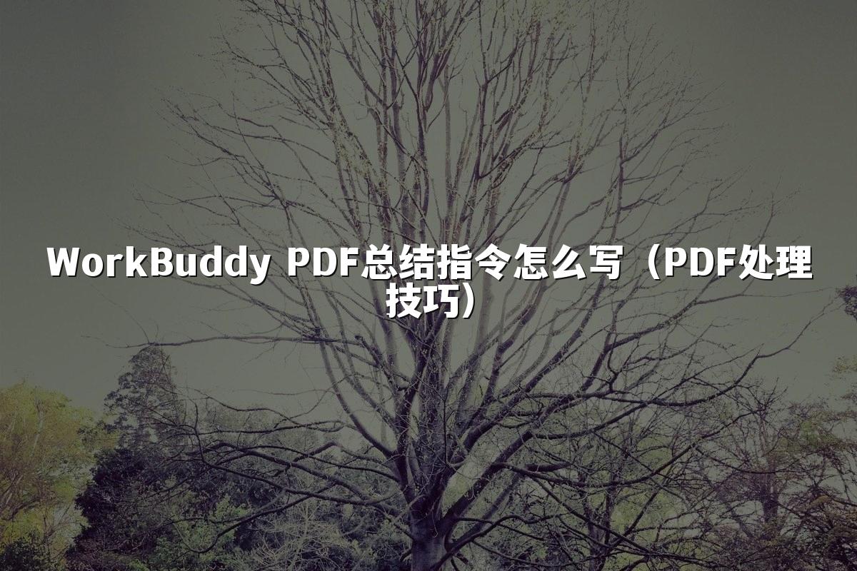 WorkBuddy PDF总结指令怎么写（PDF处理技巧）