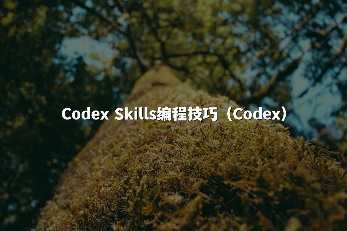 Codex Skills编程技巧（Codex）